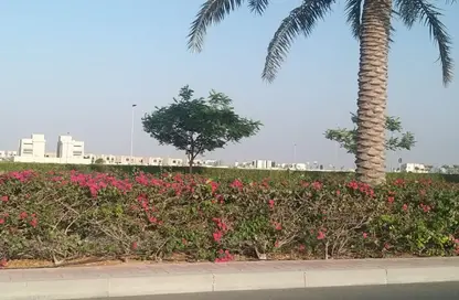 أرض - استوديو للبيع في تلال جبل علي - سيح شعيب 1 - جبل علي - دبي