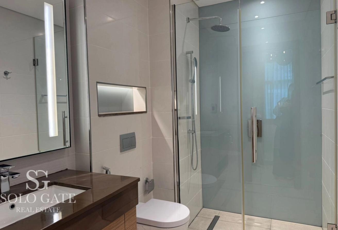 Large Layout | Ready | Premium Unit photo 8