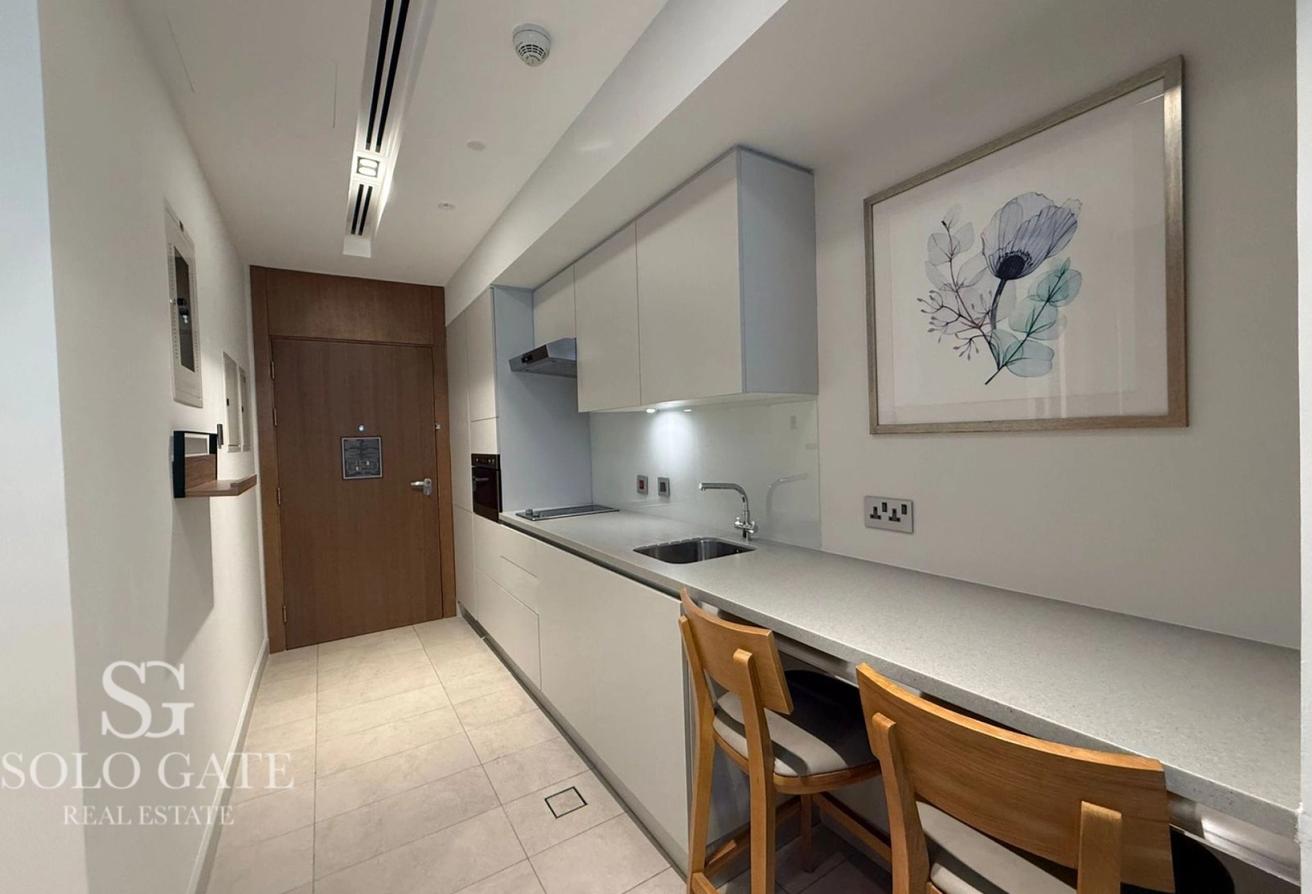 Large Layout | Ready | Premium Unit photo 5