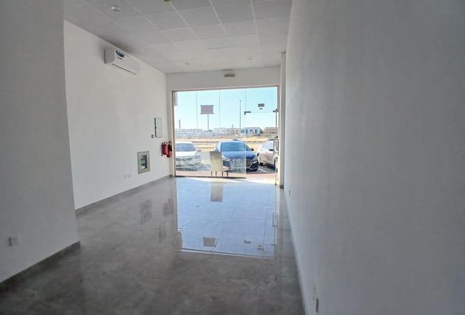 16038274 - Property Image 2