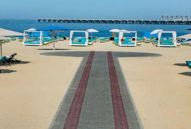 70267847 - Property Image 3