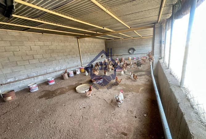 16251212 - Property Image 3