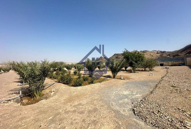 16251212 - Property Image 2