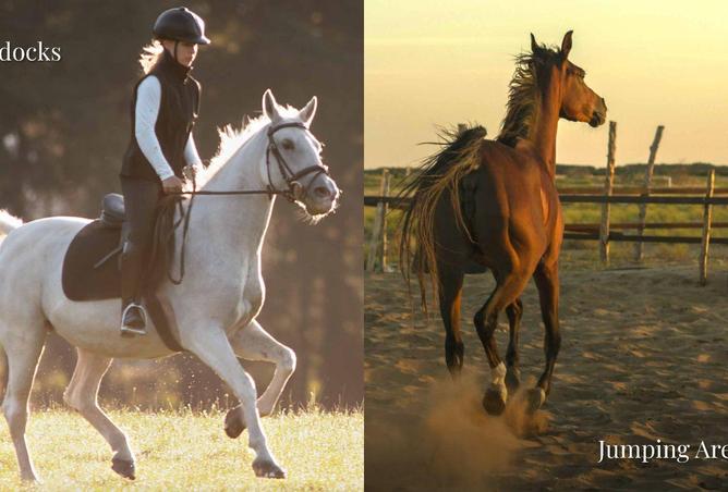 60145981 - Property Main Image