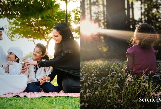 60145981 - Property Image 3