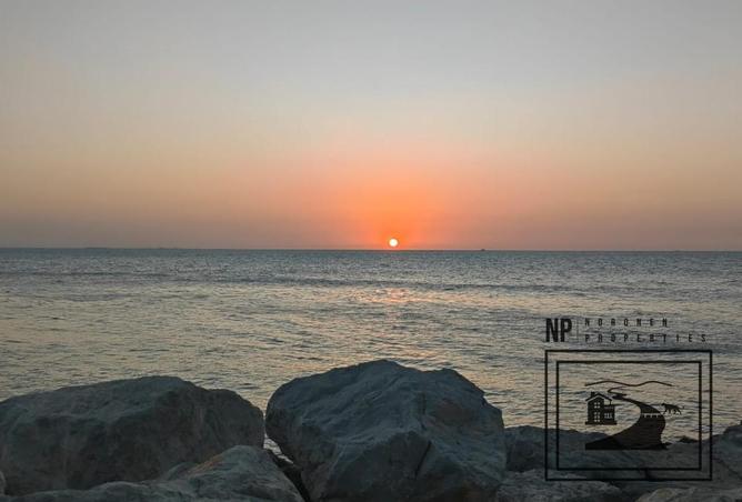115037940 - صورة العقار 3