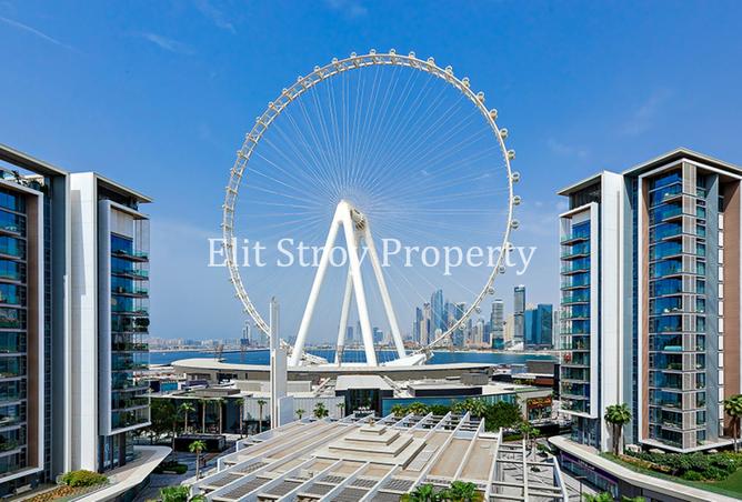 16004186 - صورة العقار 2