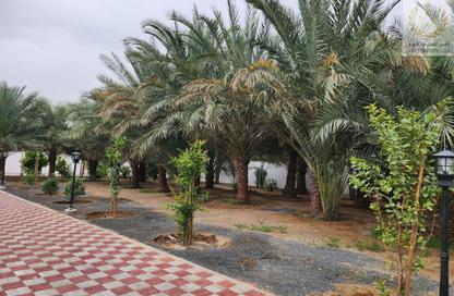 Villa - 6 Bedrooms - 4 Bathrooms for sale in Manama - Ajman