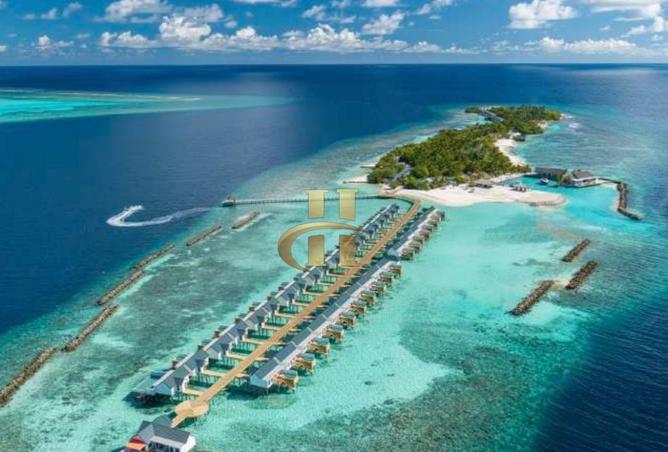 74642046 - Property Image 3