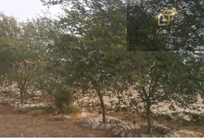 53192280 - صورة العقار 3