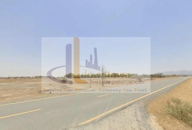 16185527 - Property Image 3