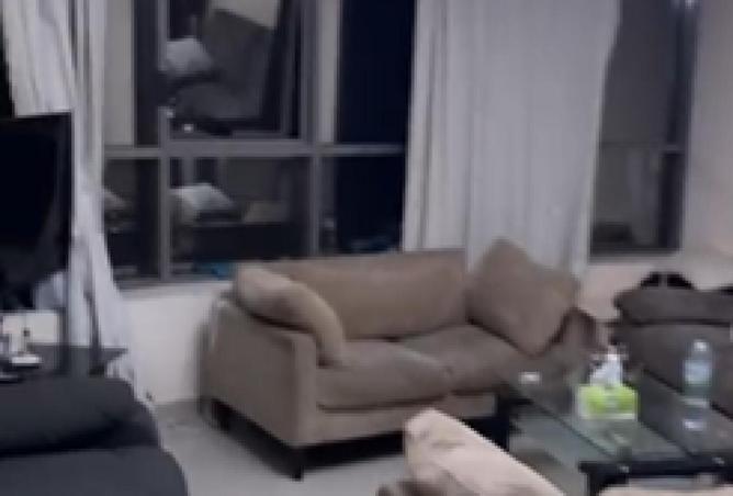 75785998 - صورة العقار 2