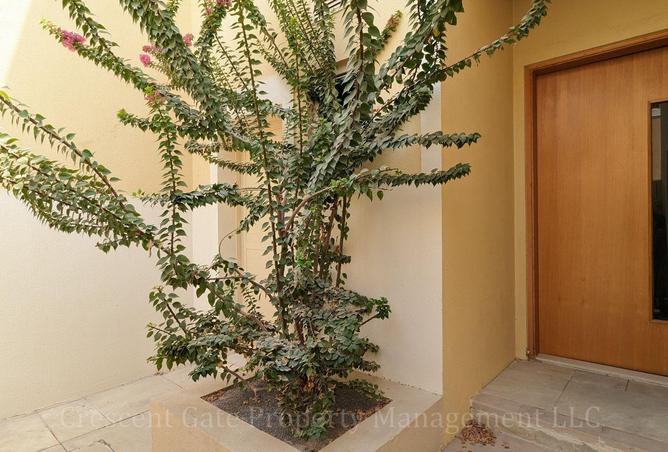 109067481 - الصورة الرئيسية للعقار