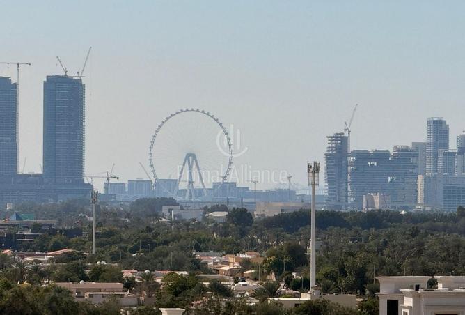 16265807 - صورة العقار 3