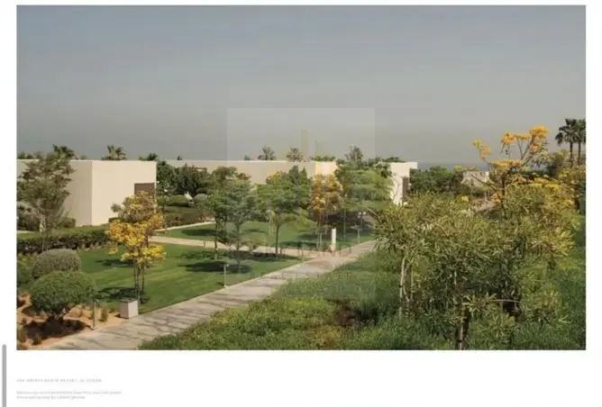157381738 - Property Image 3
