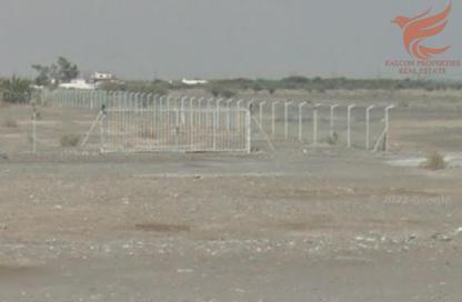 Farm - Studio for rent in Seih Al Bana - Ras Al Khaimah