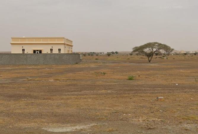 51596554 - Property Image 3