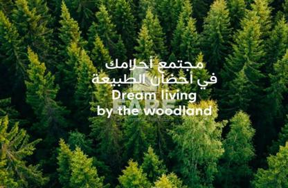 تاون هاوس - 4 غرف نوم - 5 حمامات للبيع في مسار أزاليا - مسار - تلال سيتي - الشارقة تاون هاوس - 4 غرف نوم - 5 حمامات للبيع في مسار أزاليا - مسار - تلال سيتي - الشارقة