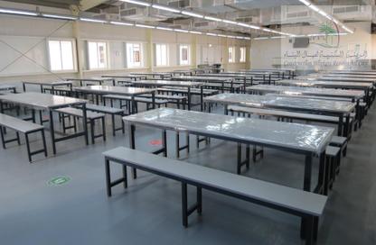 Labor Camp - Studio - 7+ Bathrooms for rent in Al Maffraq - Abu Dhabi