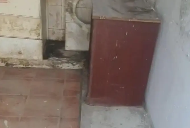 167005228 - صورة العقار 3