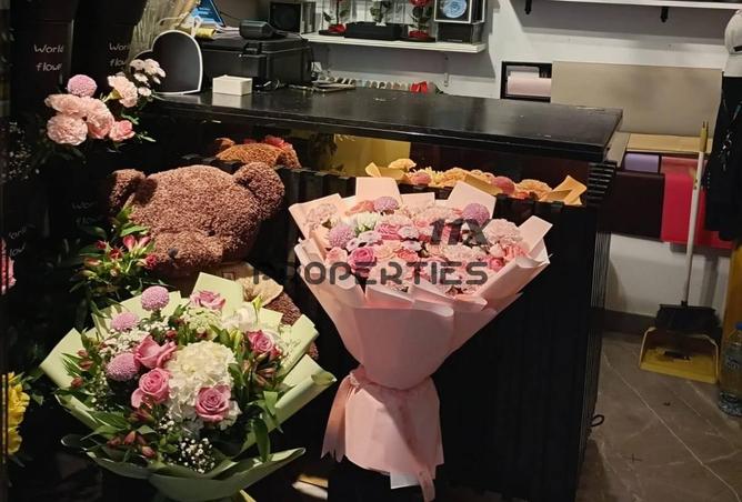 16332586 - Property Image 2