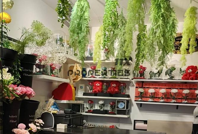 16332586 - Property Image 3