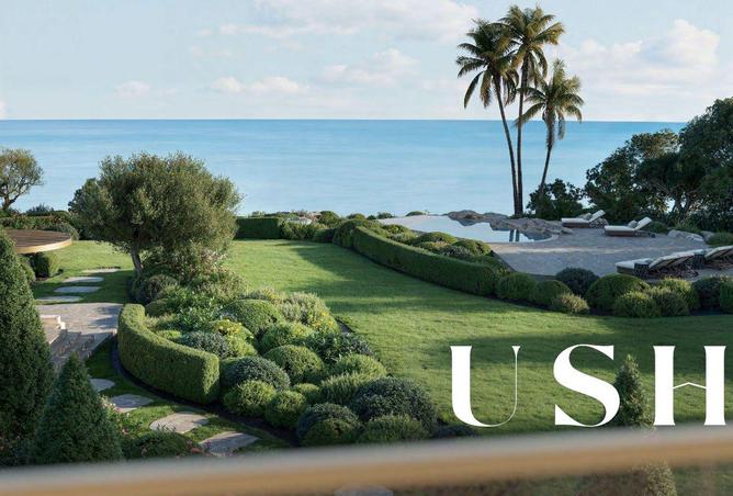 65150904 - صورة العقار 3