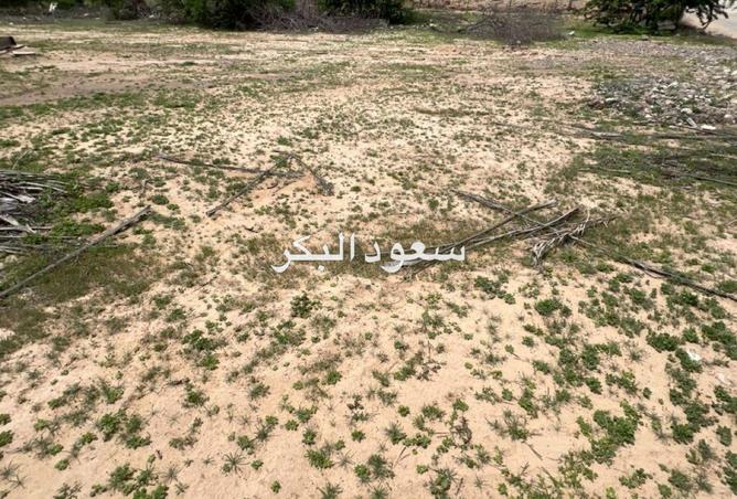 88780979 - صورة العقار 3