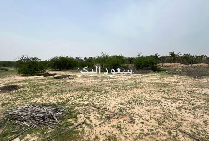 88780979 - صورة العقار 2
