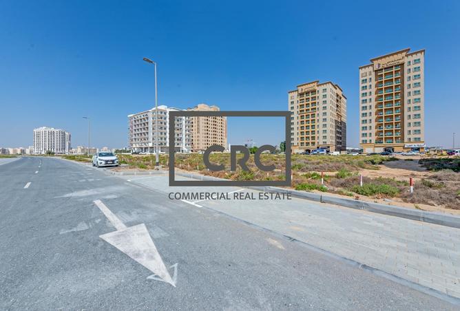 115913782 - Property Image 3