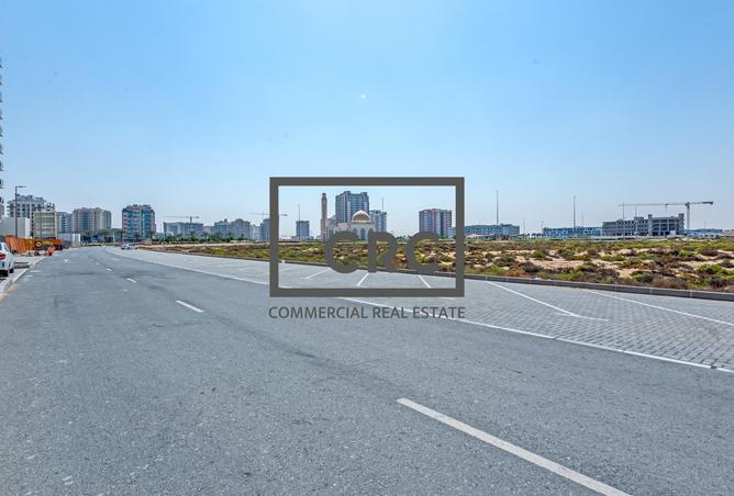 115913782 - Property Image 2