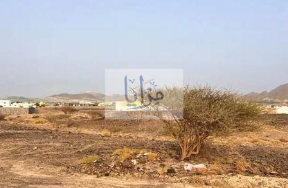 Farm - Studio for rent in Siniyah Island - Umm Al Quwain Marina - Umm Al Quwain