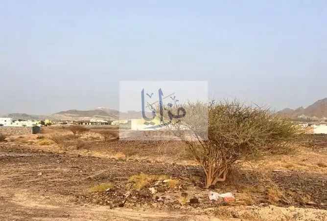 106845323 - صورة العقار 3