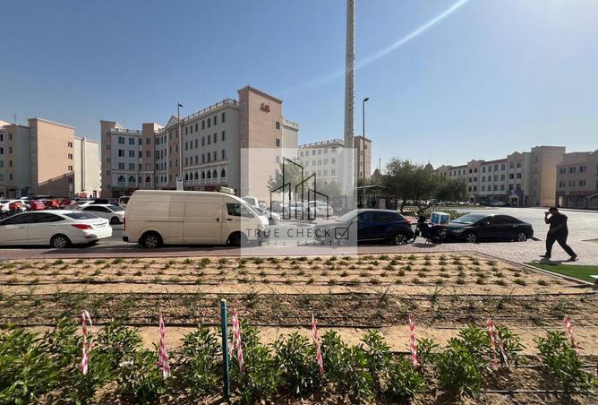 16128041 - Property Image 3