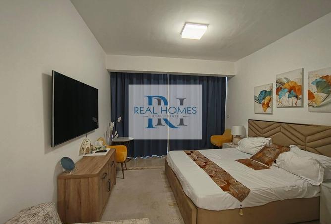 109477995 - Property Image 2