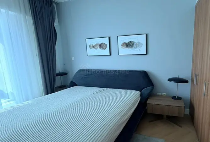 157376341 - Property Image 3