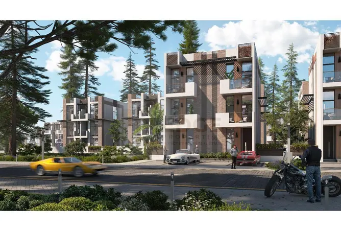 155544596 - Property Image 3
