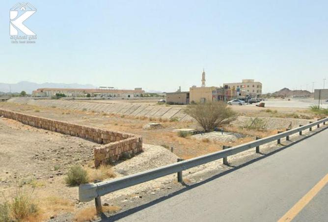 16228754 - Property Image 3