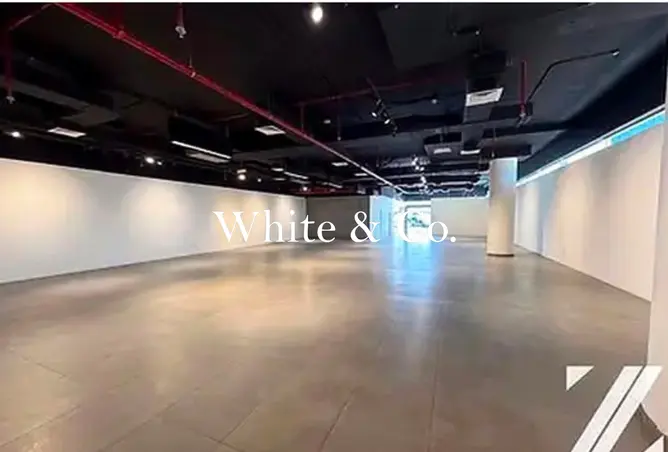 147754446 - Property Image 2