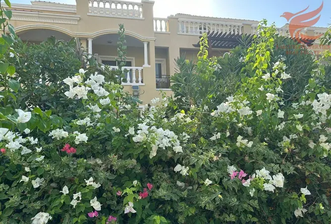 107289507 - Property Image 3