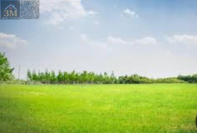 84491334 - صورة العقار 3