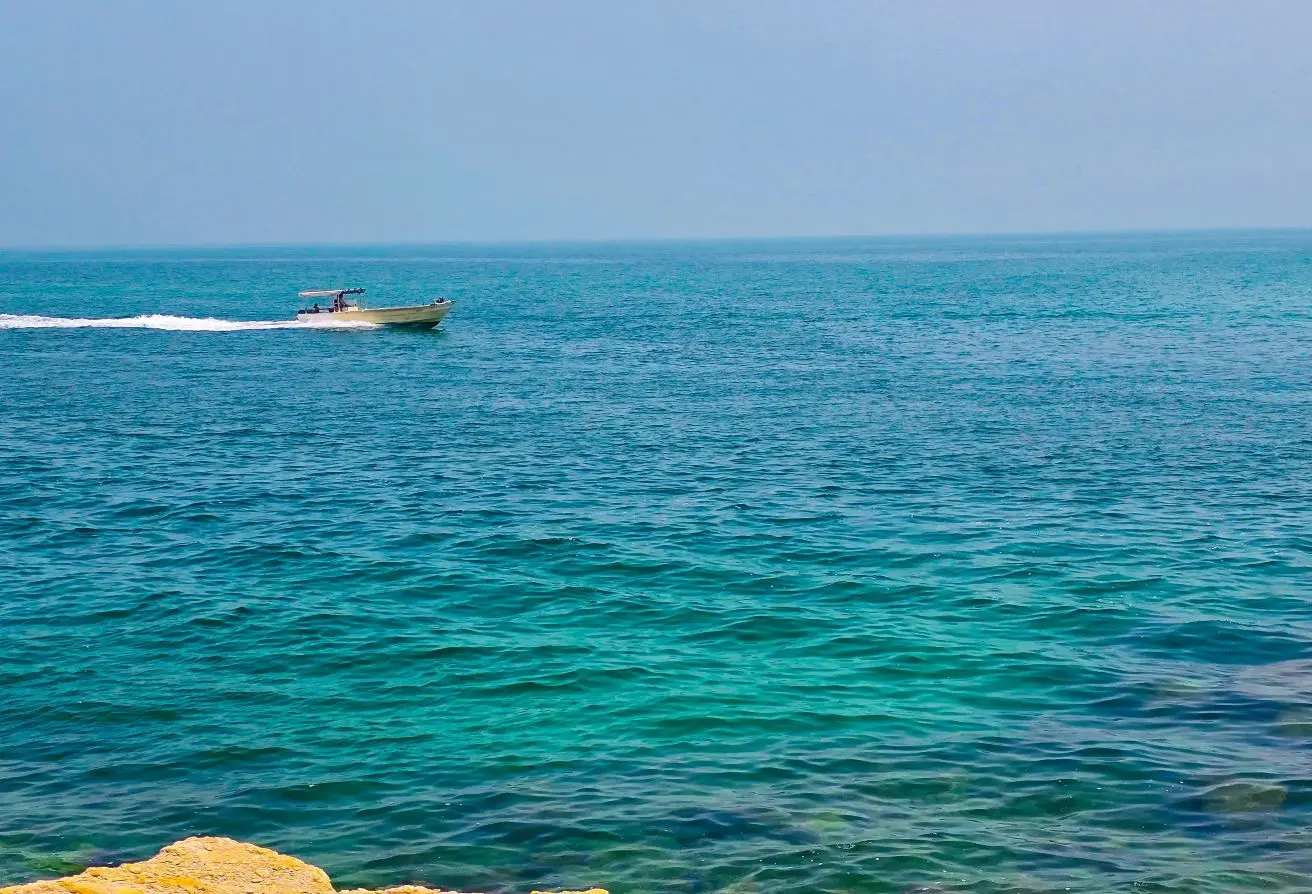 156017941 - الصورة الرئيسية للعقار