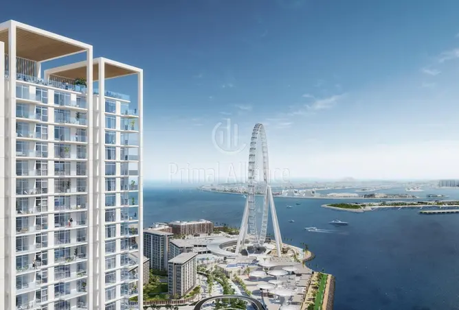 146441174 - Property Image 3