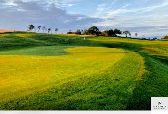 16184423 - Property Image 2