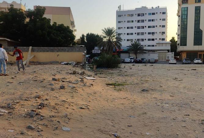 16121331 - Property Image 3