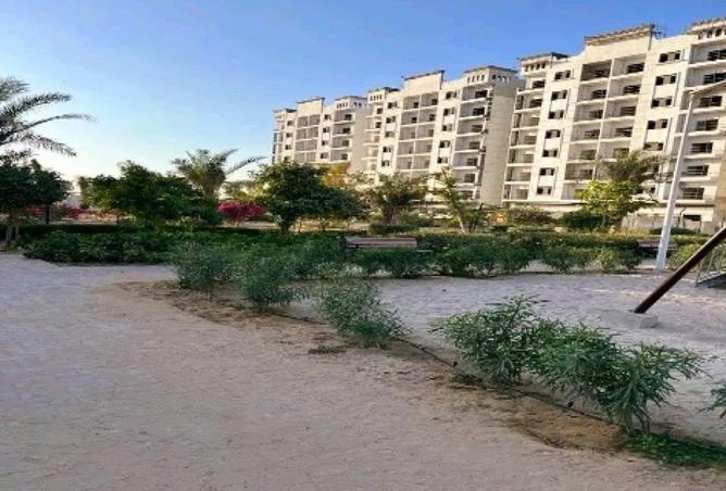 15979406 - Property Image 3