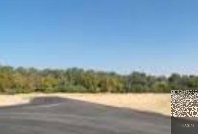 16095451 - Property Image 3