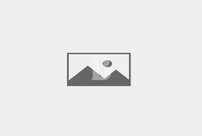 156899173 - Property Image 2