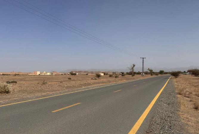 16054507 - Property Image 3