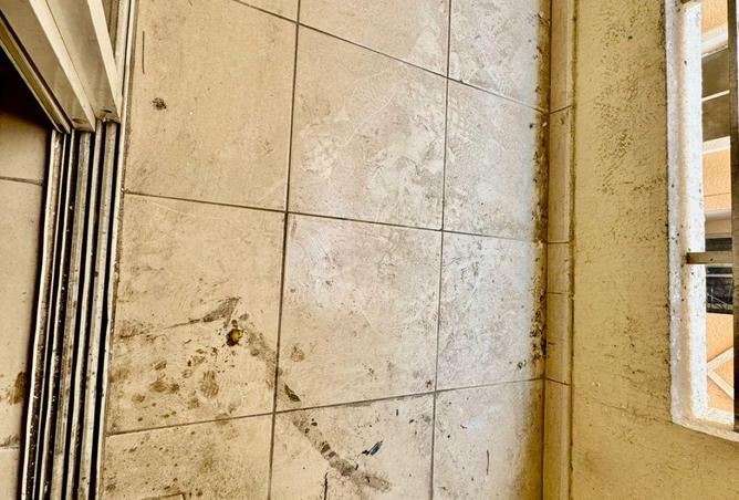 74256340 - Property Image 2